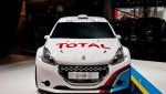 DFC-Peugeot 208 Type R50.jpg